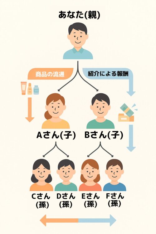 【図解イメージ】MLM構造図